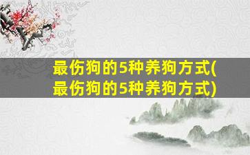 最伤狗的5种养狗方式(最伤狗的5种养狗方式)