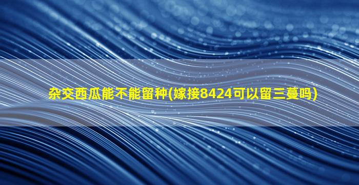 杂交西瓜能不能留种(嫁接8424可以留三蔓吗)