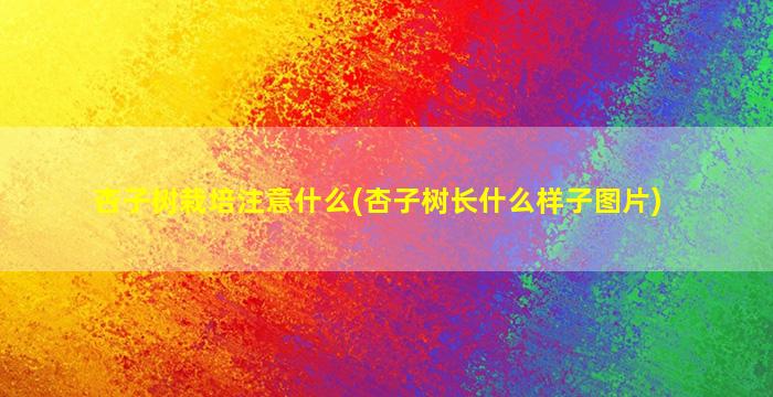 杏子树栽培注意什么(杏子树长什么样子图片)