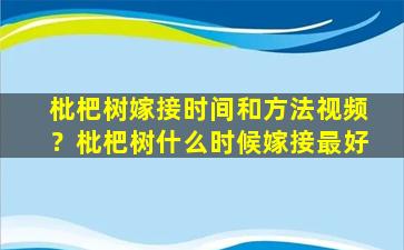 枇杷树嫁接时间和方法视频？枇杷树什么时候嫁接最好