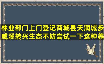 林业部门上门登记商城县天润城步威溪转兴生态不妨尝试一下这种养老方式