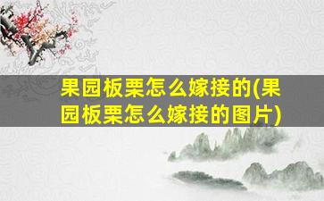 果园板栗怎么嫁接的(果园板栗怎么嫁接的图片)