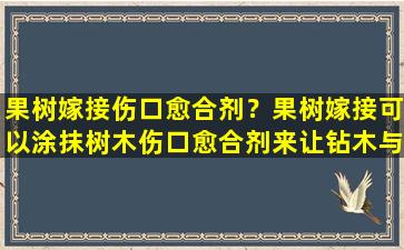 果树嫁接伤口愈合剂？果树嫁接可以涂抹树木伤口愈合剂来让钻木与接穗快速愈合吗