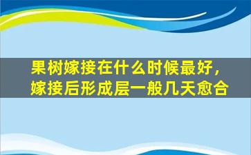 果树嫁接在什么时候最好，嫁接后形成层一般几天愈合