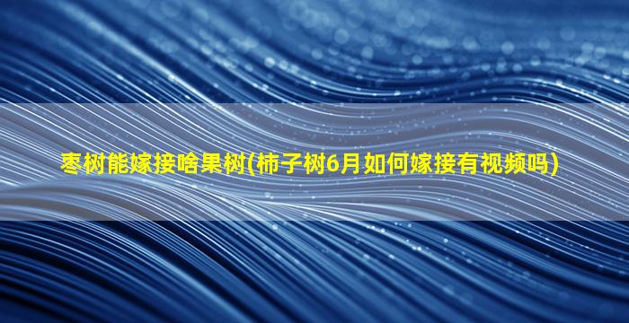 枣树能嫁接啥果树(柿子树6月如何嫁接有视频吗)