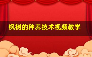 枫树的种养技术视频教学