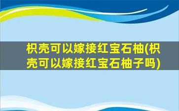 枳壳可以嫁接红宝石柚(枳壳可以嫁接红宝石柚子吗)