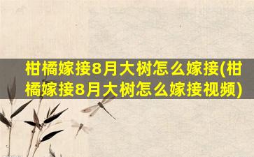 柑橘嫁接8月大树怎么嫁接(柑橘嫁接8月大树怎么嫁接视频)