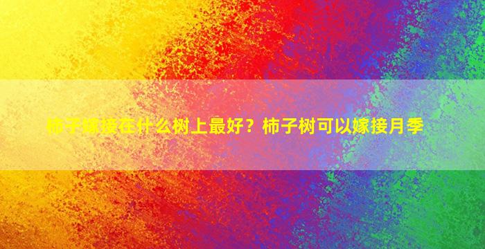 柿子嫁接在什么树上最好？柿子树可以嫁接月季