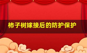 柿子树嫁接后的防护保护