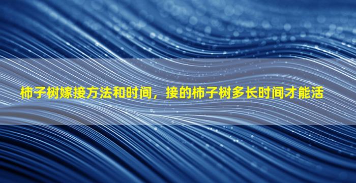 柿子树嫁接方法和时间，接的柿子树多长时间才能活