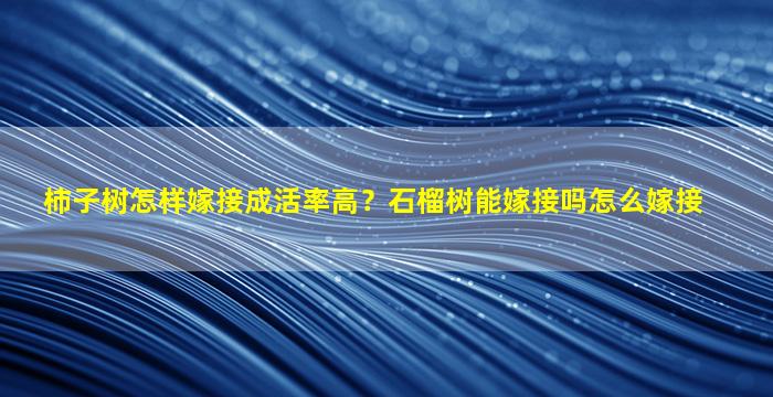 柿子树怎样嫁接成活率高？石榴树能嫁接吗怎么嫁接