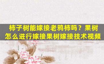 柿子树能嫁接老鸦柿吗？果树怎么进行嫁接果树嫁接技术视频