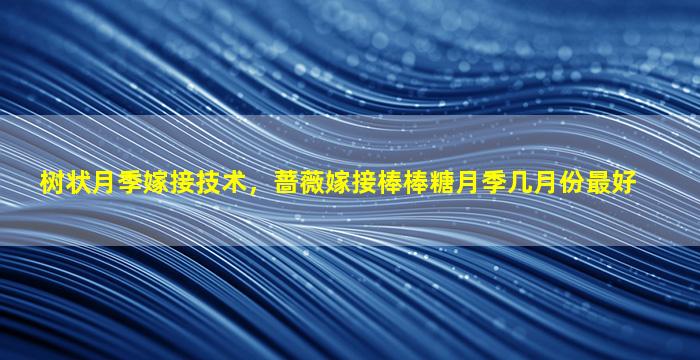 树状月季嫁接技术，蔷薇嫁接棒棒糖月季几月份最好