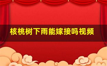 核桃树下雨能嫁接吗视频