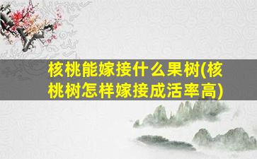 核桃能嫁接什么果树(核桃树怎样嫁接成活率高)