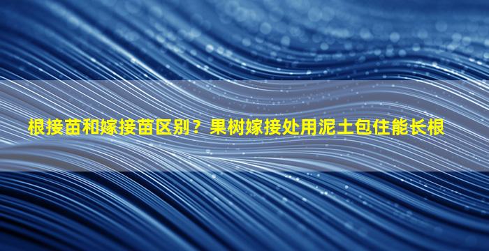 根接苗和嫁接苗区别？果树嫁接处用泥土包住能长根