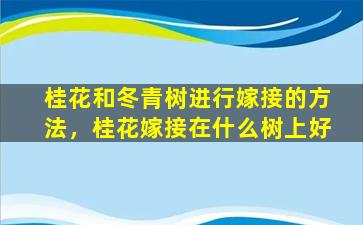 桂花和冬青树进行嫁接的方法，桂花嫁接在什么树上好