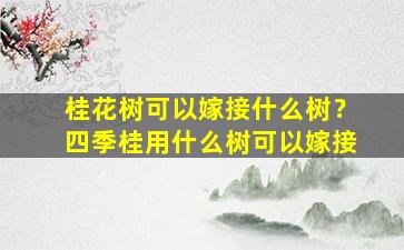 桂花树可以嫁接什么树？四季桂用什么树可以嫁接