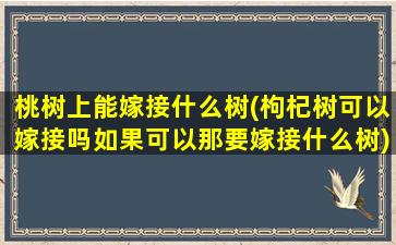 桃树上能嫁接什么树(枸杞树可以嫁接吗如果可以那要嫁接什么树)