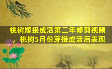 桃树嫁接成活第二年修剪视频，桃树5月份芽接成活后表现