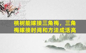 桃树能嫁接三角梅，三角梅嫁接时间和方法成活高