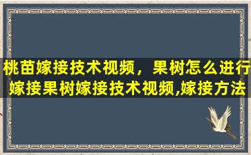 桃苗嫁接技术视频，果树怎么进行嫁接果树嫁接技术视频,嫁接方法图解