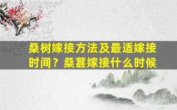 桑树嫁接方法及最适嫁接时间？桑葚嫁接什么时候