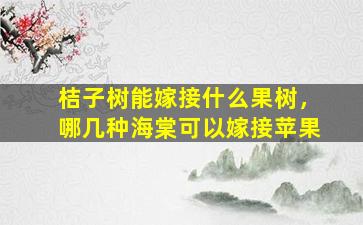 桔子树能嫁接什么果树，哪几种海棠可以嫁接苹果