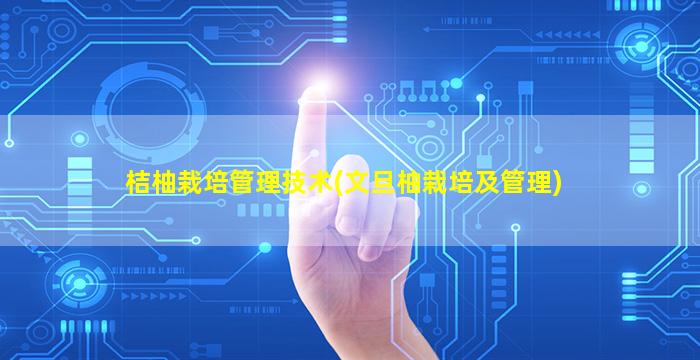 桔柚栽培管理技术(文旦柚栽培及管理)