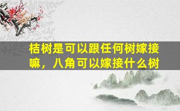 桔树是可以跟任何树嫁接嘛，八角可以嫁接什么树