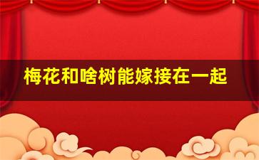 梅花和啥树能嫁接在一起