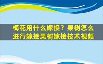 梅花用什么嫁接？果树怎么进行嫁接果树嫁接技术视频