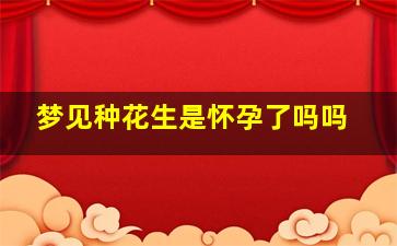 梦见种花生是怀孕了吗吗