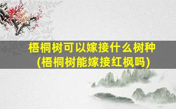 梧桐树可以嫁接什么树种(梧桐树能嫁接红枫吗)