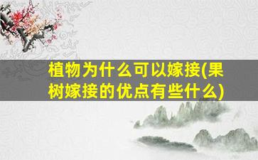 植物为什么可以嫁接(果树嫁接的优点有些什么)