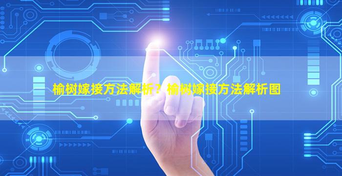 榆树嫁接方法解析？榆树嫁接方法解析图