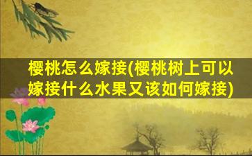 樱桃怎么嫁接(樱桃树上可以嫁接什么水果又该如何嫁接)