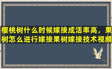 樱桃树什么时候嫁接成活率高，果树怎么进行嫁接果树嫁接技术视频,嫁接方法图解