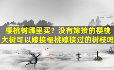 樱桃树哪里买？没有嫁接的樱桃大树可以嫁接樱桃嫁接过的树枝吗