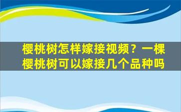 樱桃树怎样嫁接视频？一棵樱桃树可以嫁接几个品种吗