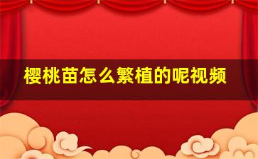 樱桃苗怎么繁植的呢视频