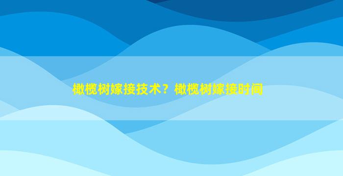 橄榄树嫁接技术？橄榄树嫁接时间