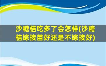 沙糖桔吃多了会怎样(沙糖桔嫁接苗好还是不嫁接好)