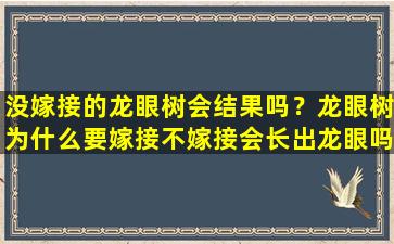 没嫁接的龙眼树会结果吗？龙眼树为什么要嫁接不嫁接会长出龙眼吗