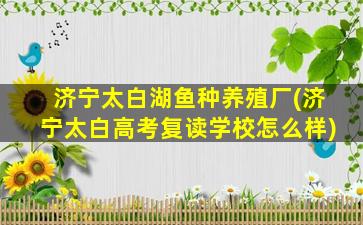 济宁太白湖鱼种养殖厂(济宁太白高考复读学校怎么样)