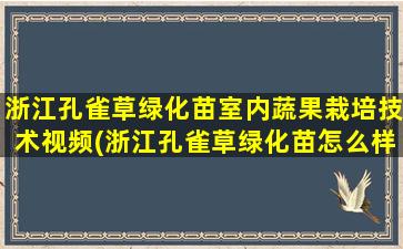 浙江孔雀草绿化苗室内蔬果栽培技术视频(浙江孔雀草绿化苗怎么样)