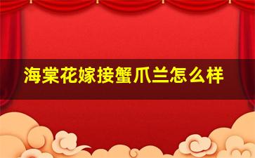 海棠花嫁接蟹爪兰怎么样