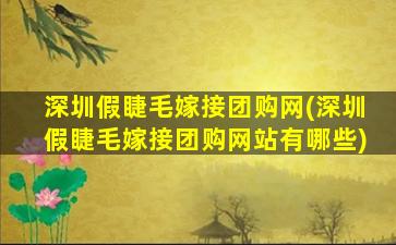 深圳假睫毛嫁接团购网(深圳假睫毛嫁接团购网站有哪些)