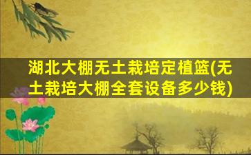 湖北大棚无土栽培定植篮(无土栽培大棚全套设备多少钱)